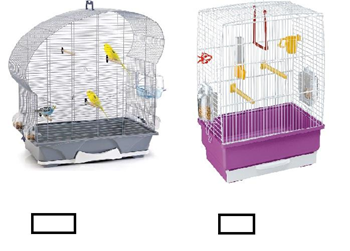 Запишите количество попугаев в каждой клетке