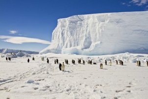 <strong>Рис. 6. Покровный ледник Антарктиды</strong>
