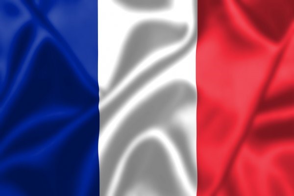 Рис. 2. Флаг Франции