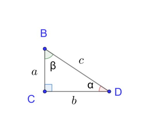 Рис. 1. Прямоугольный треугольник