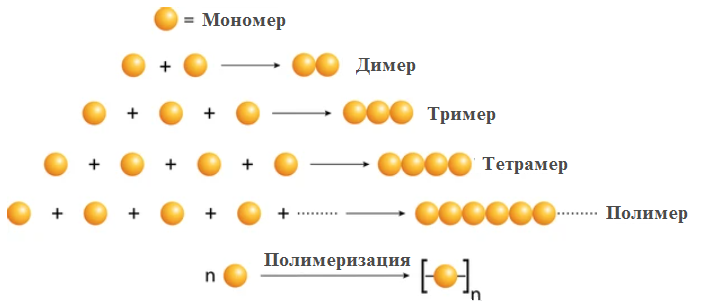 Схема 1. Схема образования полимера (где n – степень полимеризации)