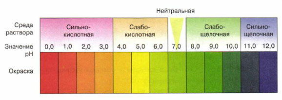 Рис.2. Шкала pH и окраска универсального индикатора в различных средах.