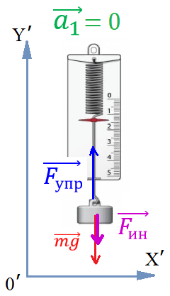 Рис. 3. Направление силы инерции, действующей на груз, подвешенный в движущемся с ускорением лифте