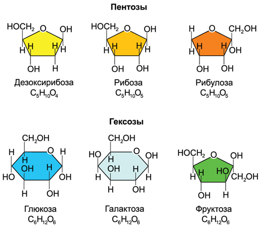 Рис.5. Структурные формулы моносахаридов.