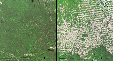 <strong>Рис. 3. Спутниковые снимки изменения лесопокрытых площадей в штате Рондония, Бразилия с 1975 (слева) по 2009 (справа) годы</strong>