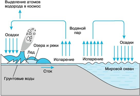 Рис. 3. Круговорот воды в биосфере