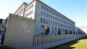 Рис. 3. Штаб ВТО в Женеве, Швейцария