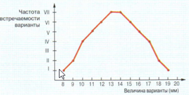 Рис.5. Вариационная кривая, отражающая распределение семян тыквы по их величине.