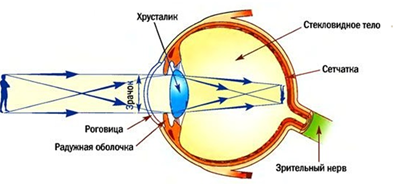 Рис.1. Оптическая система глаза