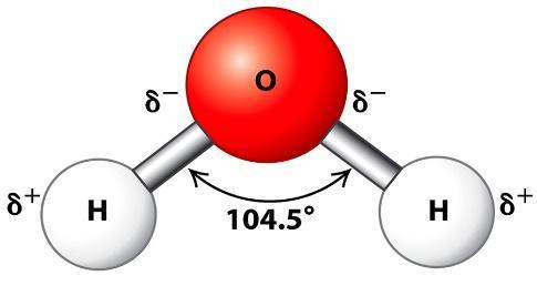 Рисунок 1. Молекула воды - диполь