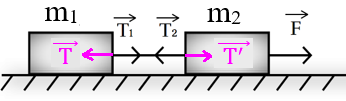 Рис. 1. Силы, возникающие в системе из двух брусков, связанных нитью, в результате действия силы F