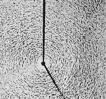 Рис. 4. Картина магнитных линий вокруг прямолинейного проводника, полученная с помощью железных опилок