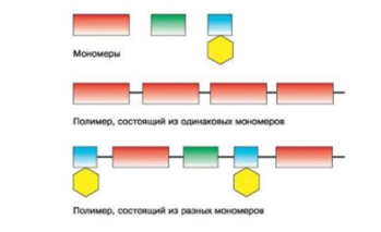 Рис.3. Схема строения мономера и полимера