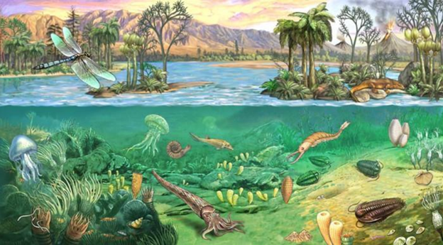 Рис. 8. Животный и растительный мир примерно 540 миллионов лет тому назад