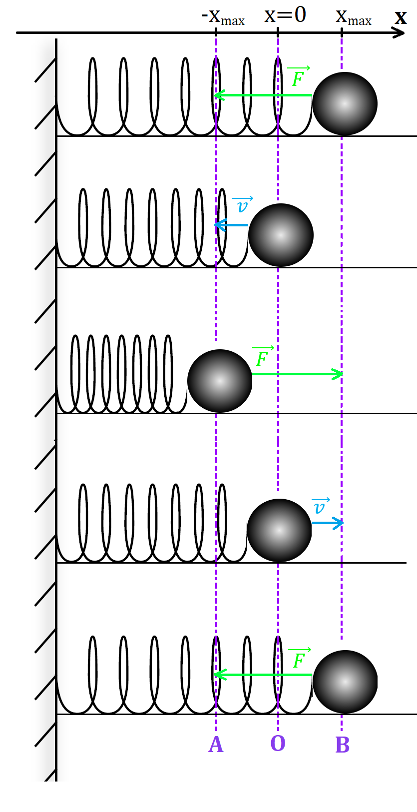Рис. 2. Положение пружинного маятника в разные моменты времени