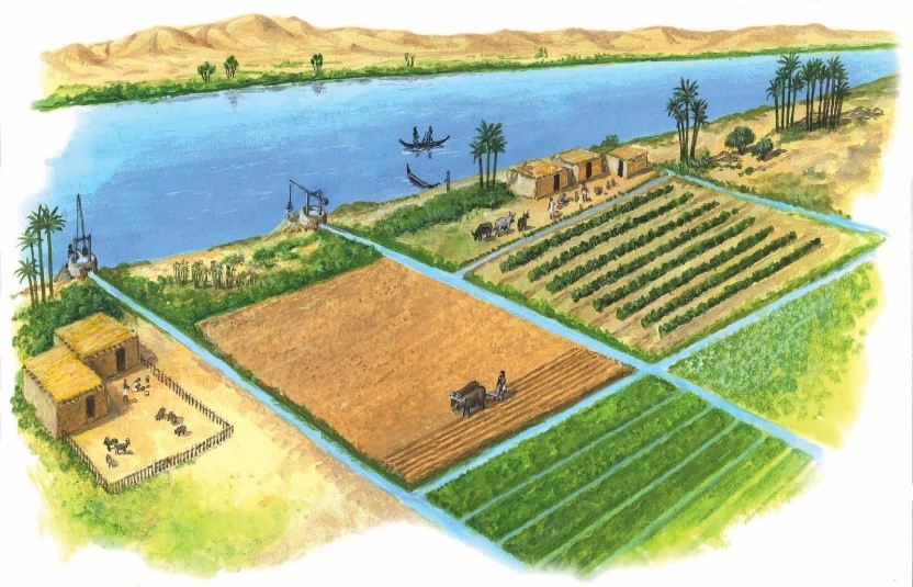 <i>Рис. 2. Система орошения полей в Древнем Египте. Современный рисунок</i>