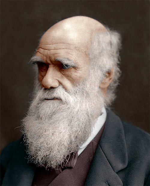 Рис. 1. Чарльз Дарвин