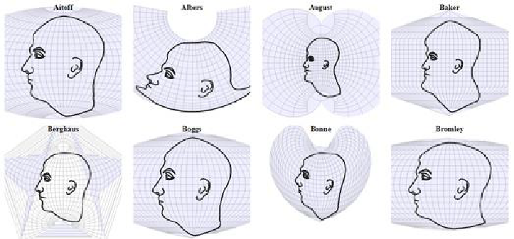 <strong>Рис. 16. Изображение головы человека с помощью разных картографических проекций</strong>